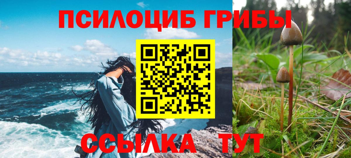 Галлюциногенные грибы мухоморы Киров